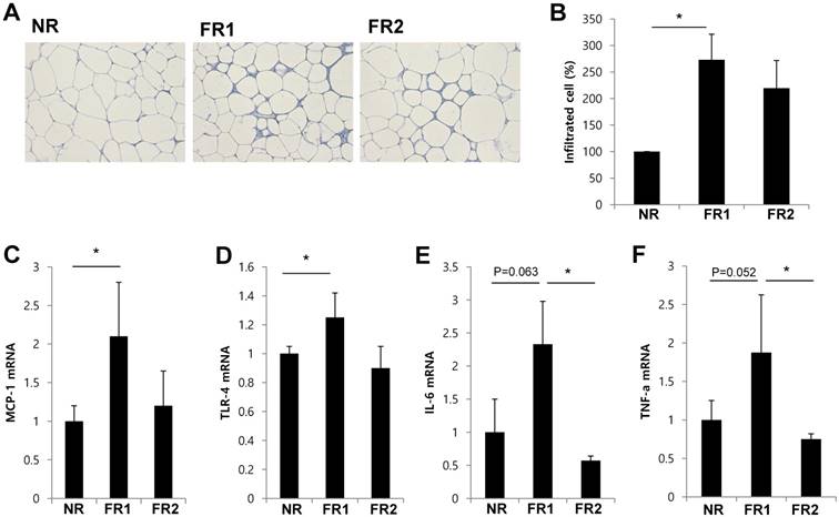 Int J Med Sci Image