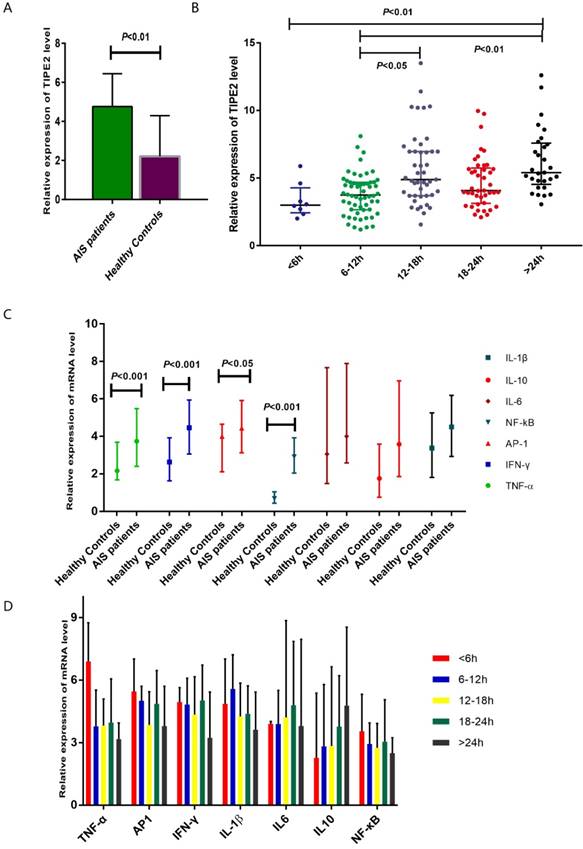 Int J Med Sci Image