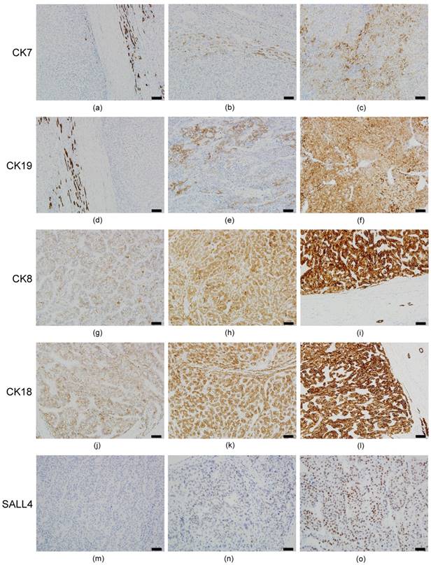 Int J Med Sci Image