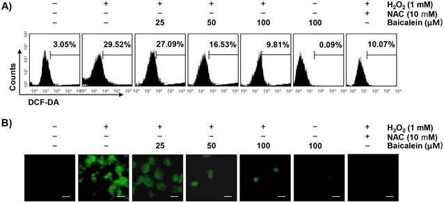 Int J Med Sci Image