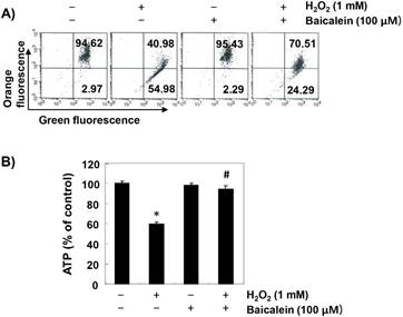 Int J Med Sci Image