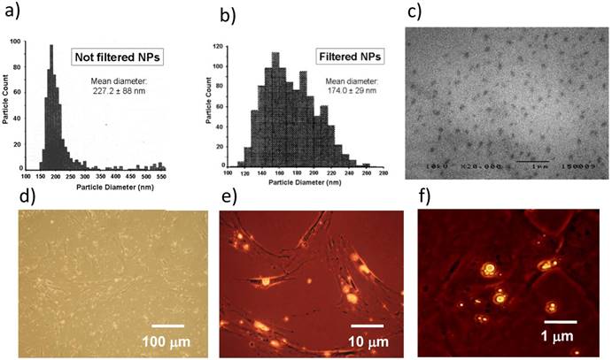 Int J Med Sci Image