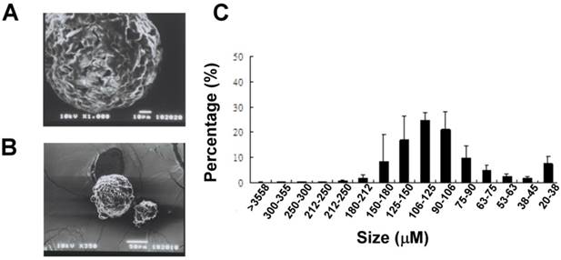 Int J Med Sci Image