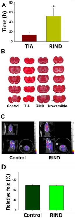 Int J Med Sci Image