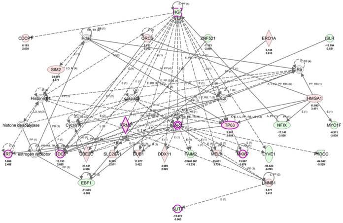 Int J Med Sci Image