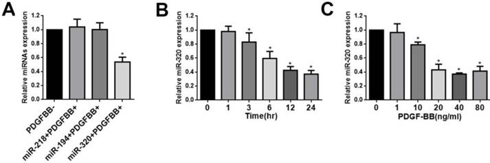 Int J Med Sci Image