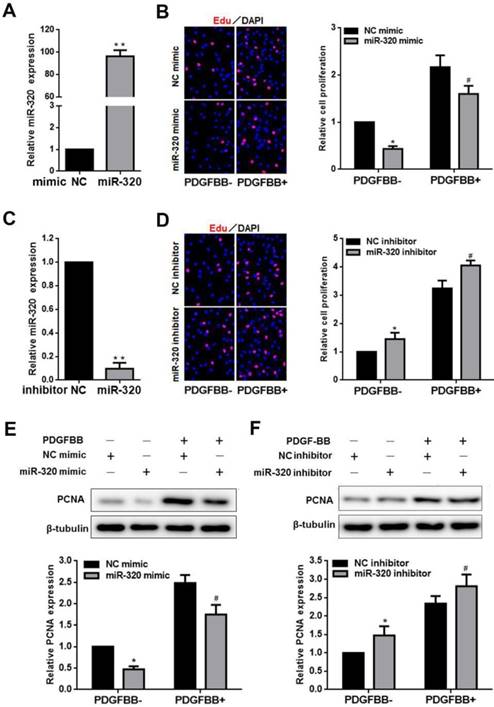 Int J Med Sci Image