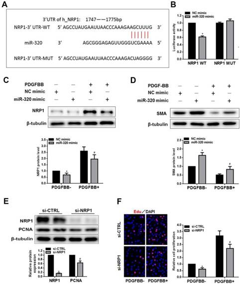 Int J Med Sci Image