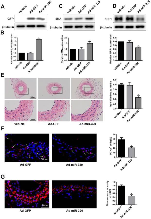 Int J Med Sci Image