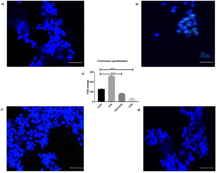 Int J Med Sci Image