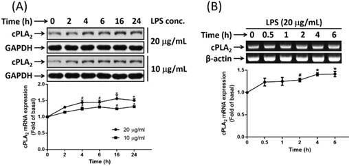 Int J Med Sci Image