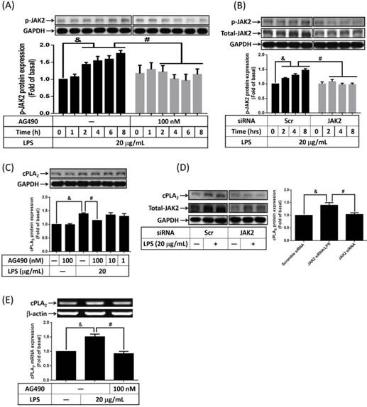 Int J Med Sci Image