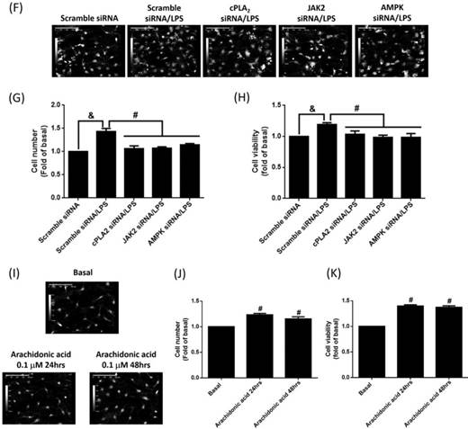 Int J Med Sci Image