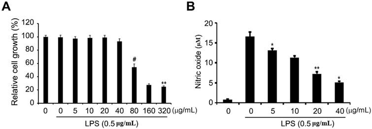 Int J Med Sci Image