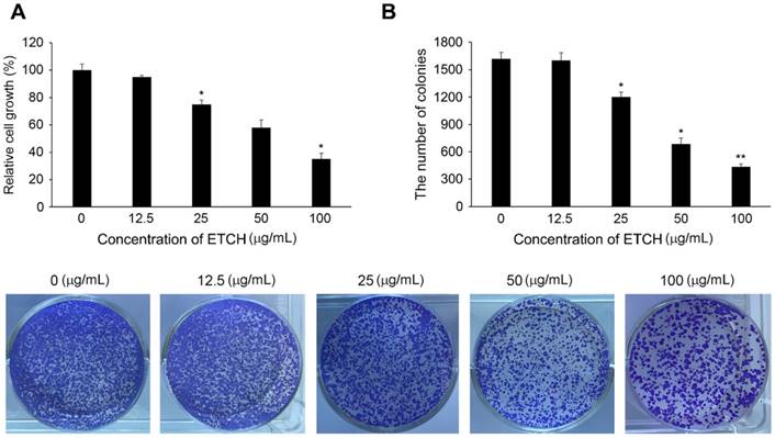 Int J Med Sci Image