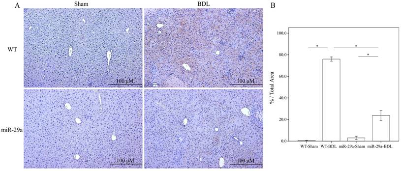 Int J Med Sci Image