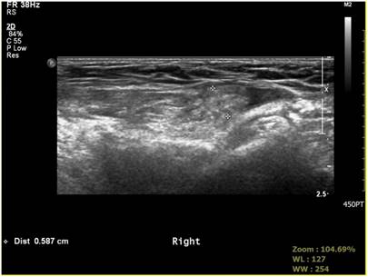 Int J Med Sci Image