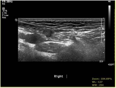 Int J Med Sci Image