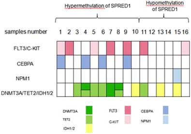 Int J Med Sci Image