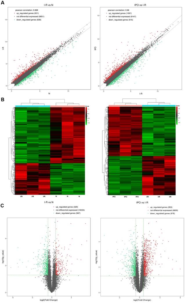 Int J Med Sci Image