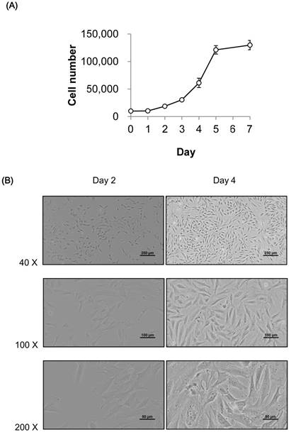 Int J Med Sci Image