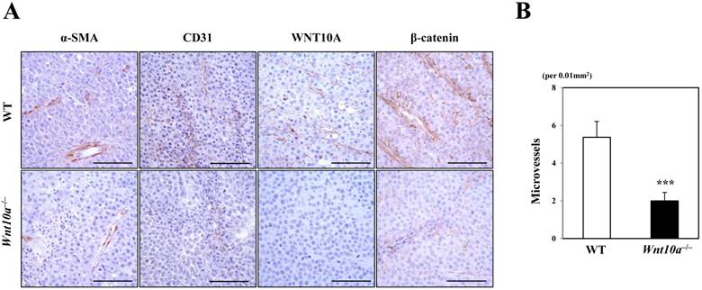 Int J Med Sci Image