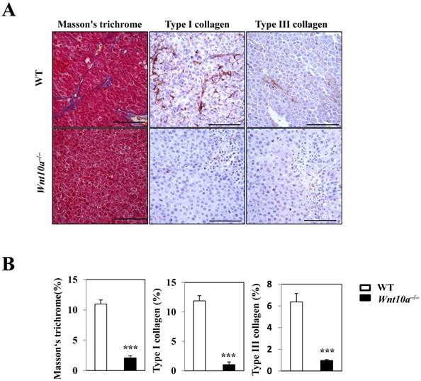 Int J Med Sci Image