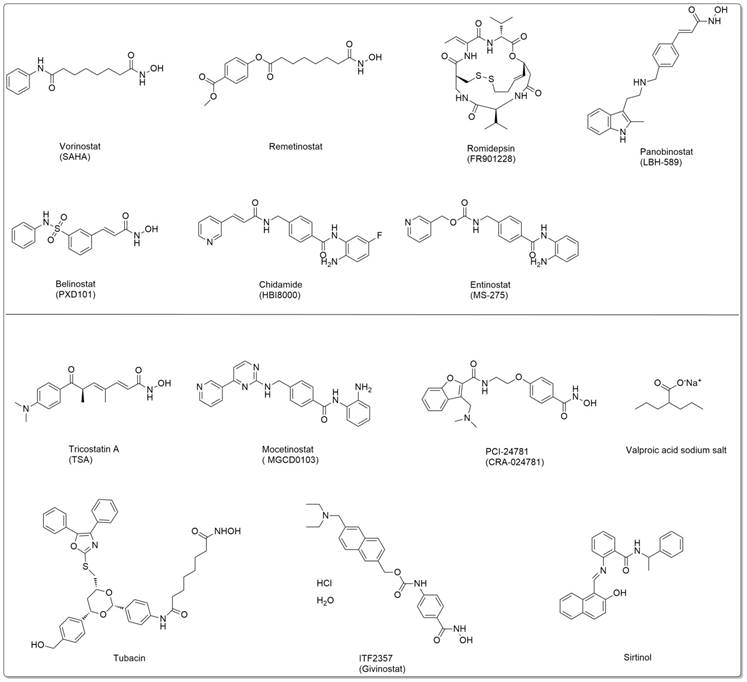 Int J Med Sci Image