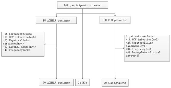 Int J Med Sci Image