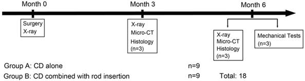 Int J Med Sci Image