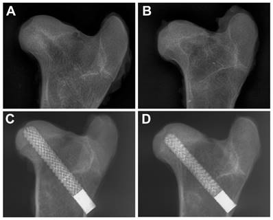 Int J Med Sci Image