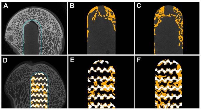 Int J Med Sci Image