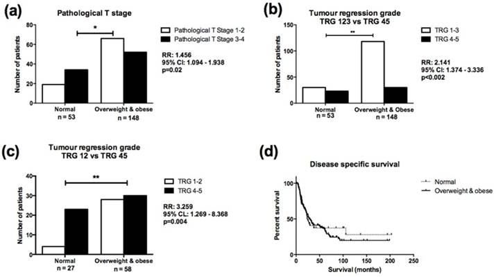 Int J Med Sci Image