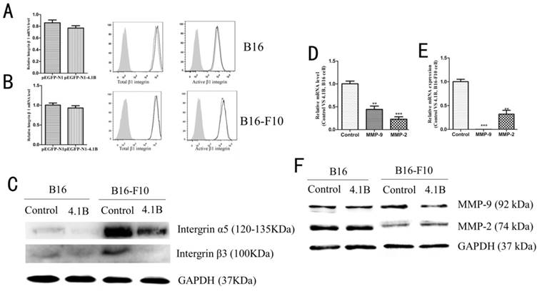 Int J Med Sci Image