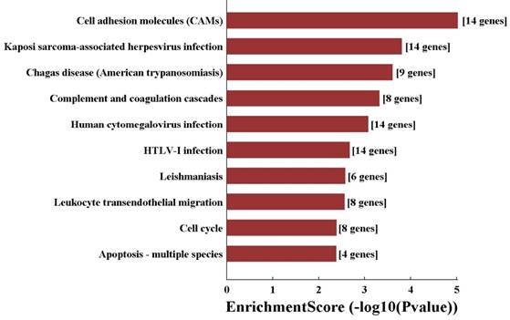 Int J Med Sci Image