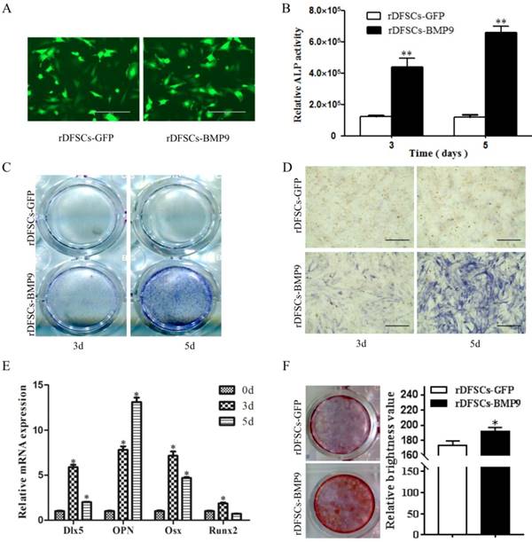 Int J Med Sci Image