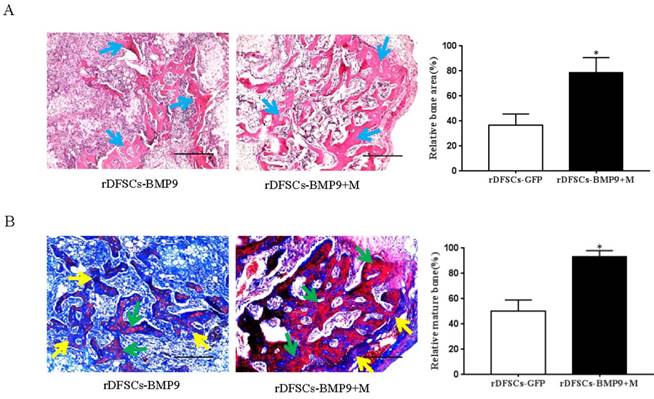 Int J Med Sci Image