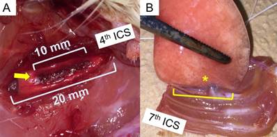 Int J Med Sci Image