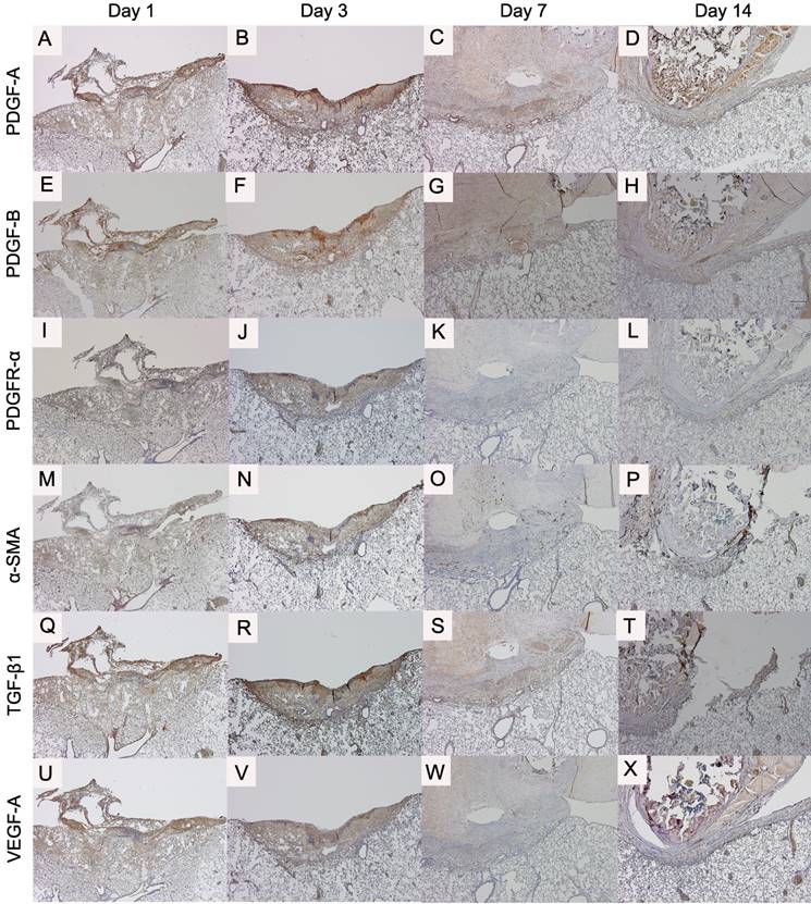 Int J Med Sci Image