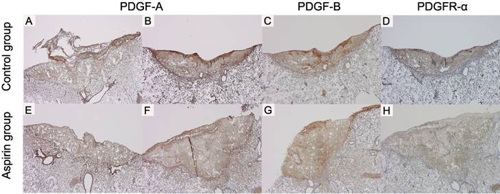 Int J Med Sci Image