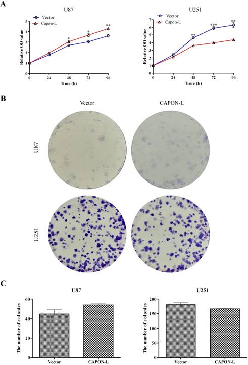 Int J Med Sci Image