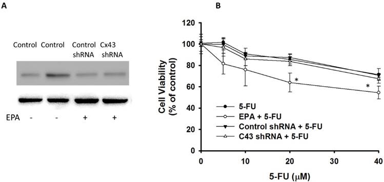 Int J Med Sci Image