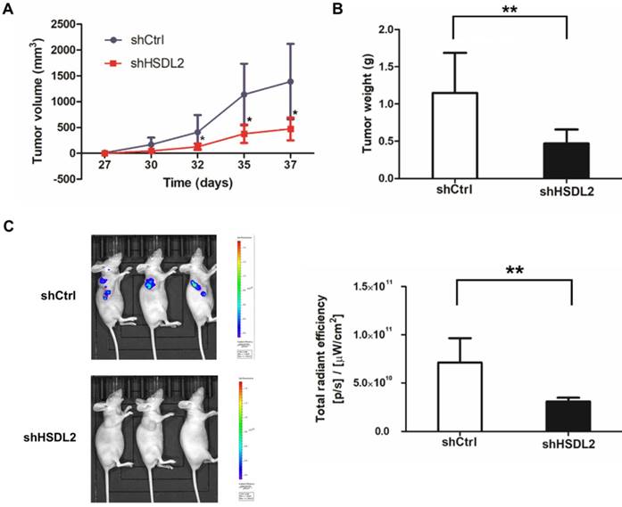 Int J Med Sci Image