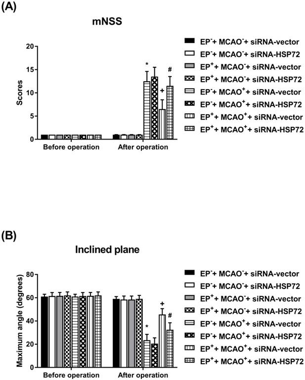 Int J Med Sci Image