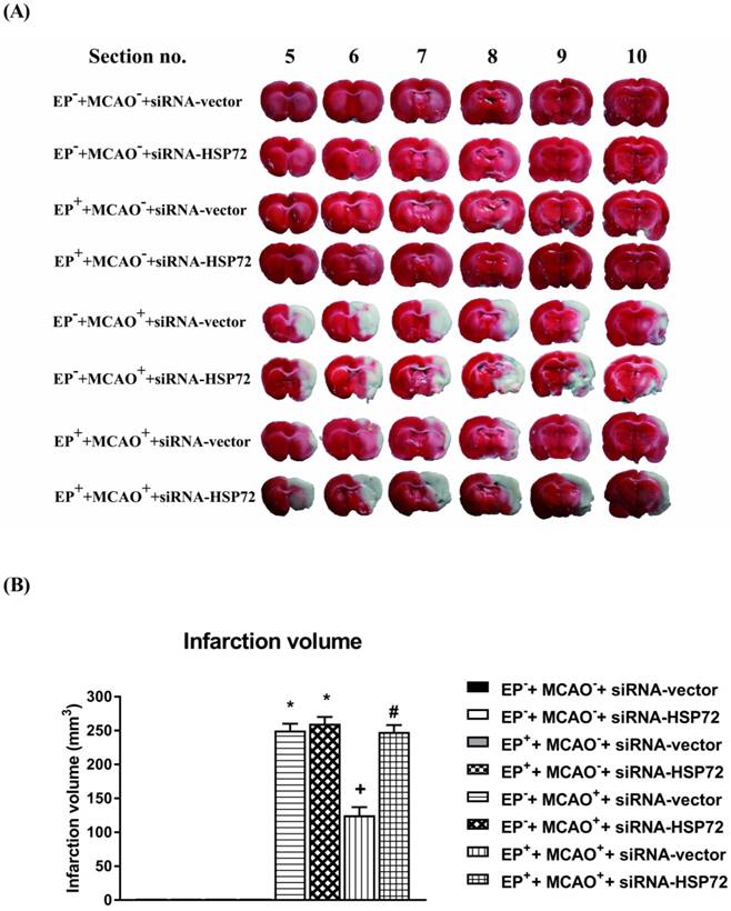 Int J Med Sci Image