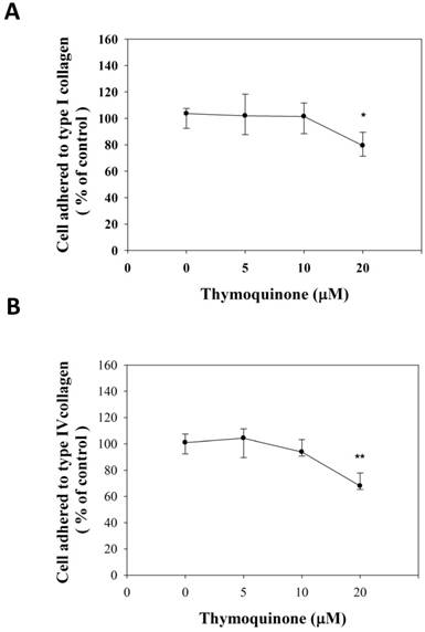 Int J Med Sci Image