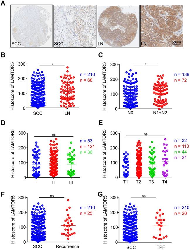 Int J Med Sci Image