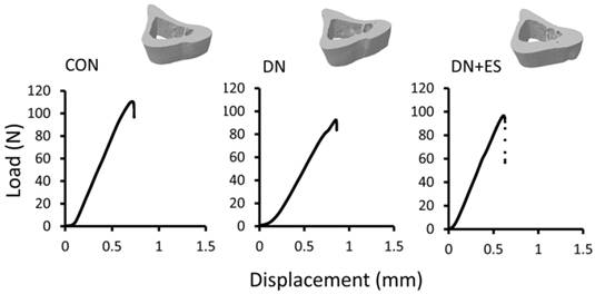 Int J Med Sci Image