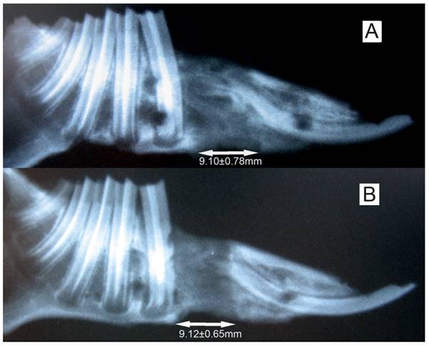 Int J Med Sci Image