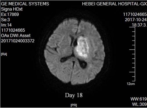 Int J Med Sci Image